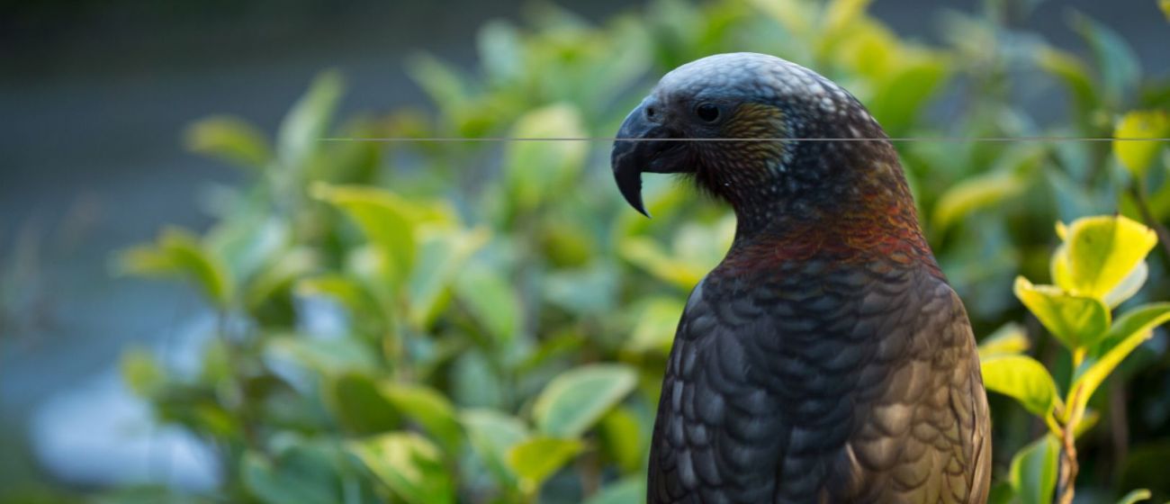 Contact Us | Church Hill Accommodation | New Zealand